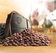 купить Шоколад молочный Ghana Cacao Barry 40% CHM-P40GHA-2B-U73 6шт*1кг  в интернет-магазине